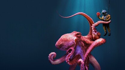 Octopus! Season 2