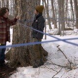 The Sticky Season 2 Release Date